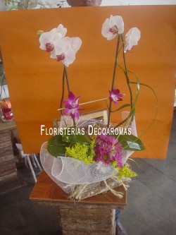 Arreglos de Flores Floristeria Decoaromas Costa Rica